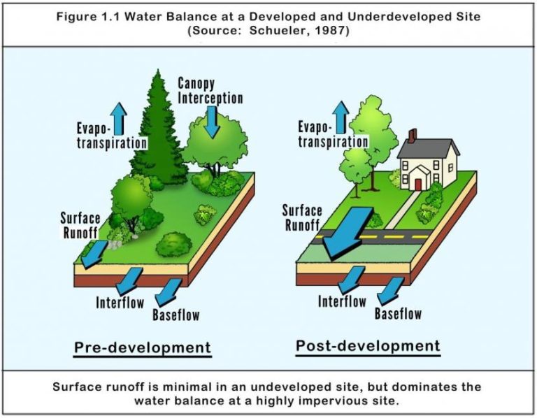 Dream Big, Build Small: Raw Land vs. Developed Land.